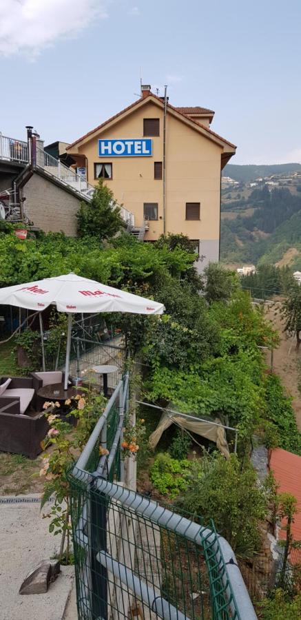 Hotel Alina Cangas De Narcea Luaran gambar