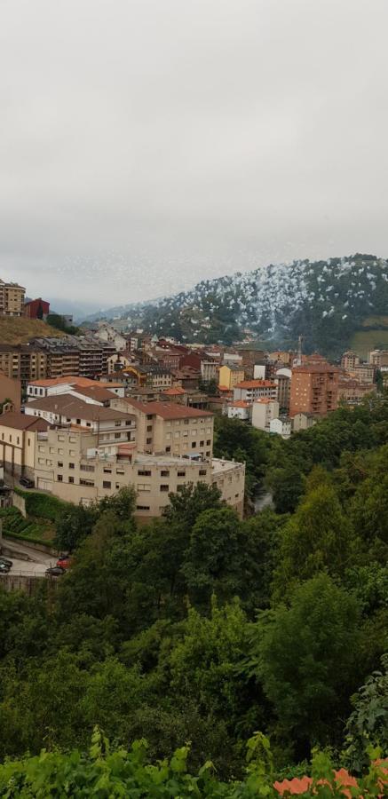 Hotel Alina Cangas De Narcea Luaran gambar
