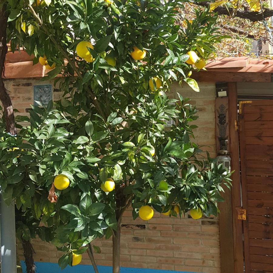 Hotel Alina Cangas De Narcea Luaran gambar
