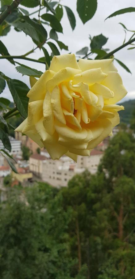 Hotel Alina Cangas De Narcea Luaran gambar